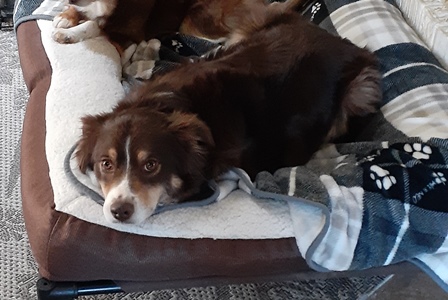 ellie mae5